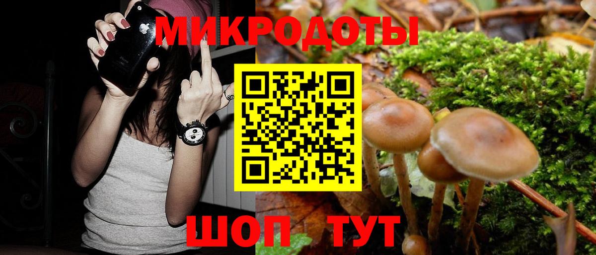 Россия  Псилоцибиновые грибы ЛСД  Вход с VPN 